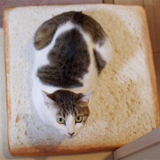 Cat Toast Bed