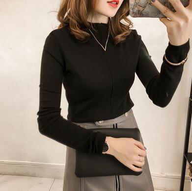 Sleeves Basic Sweater