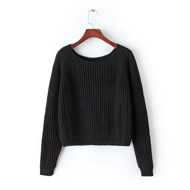 Casual Sexy Women Pullover Sweater