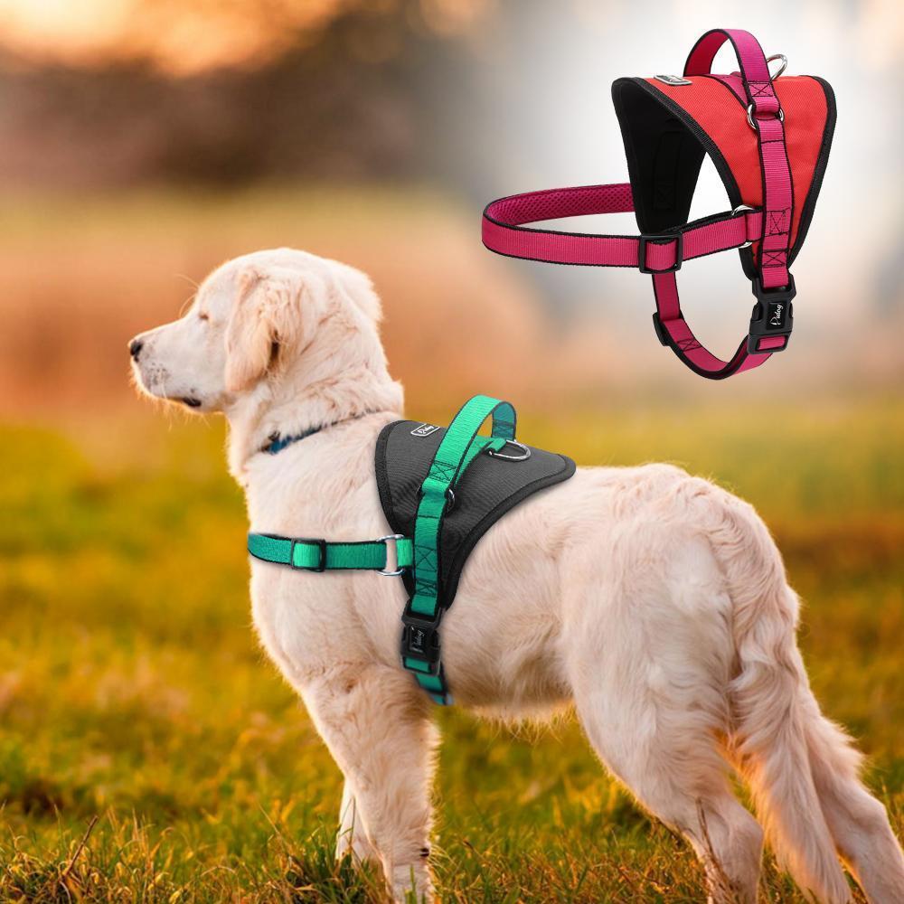 Soft Nylon No Pull Dog Harness Vest