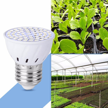 Plant Growth Full Spectrum LED Indoor Plant Lights