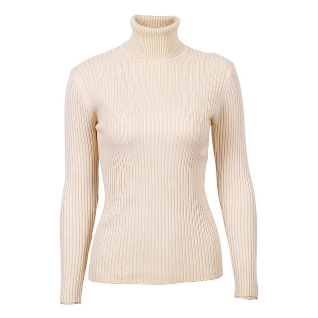 Turtleneck Knitted Skinny Sweater