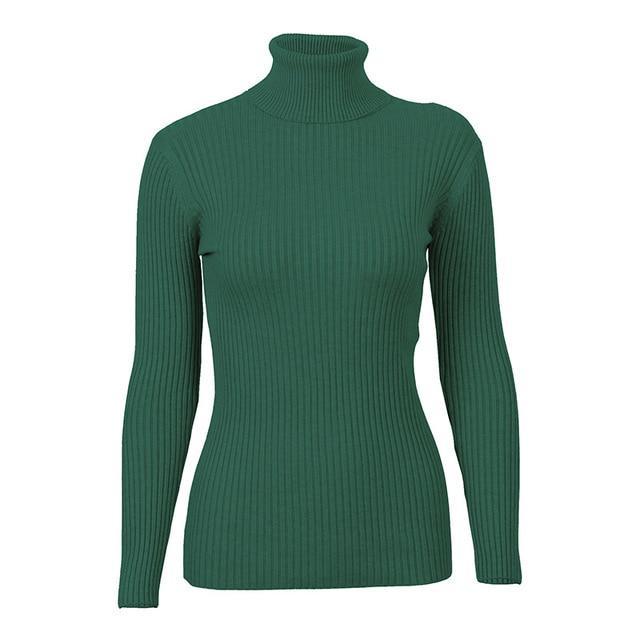 Turtleneck Knitted Skinny Sweater