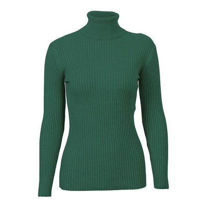 Turtleneck Knitted Skinny Sweater
