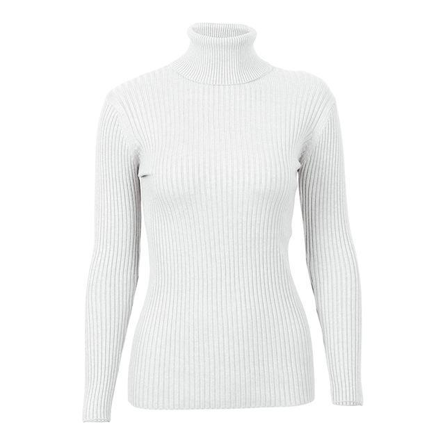Turtleneck Knitted Skinny Sweater