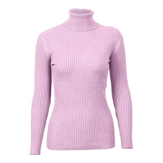 Turtleneck Knitted Skinny Sweater
