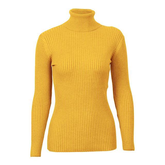 Turtleneck Knitted Skinny Sweater