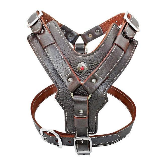 Extra Large Genuine Leather Dog Harness