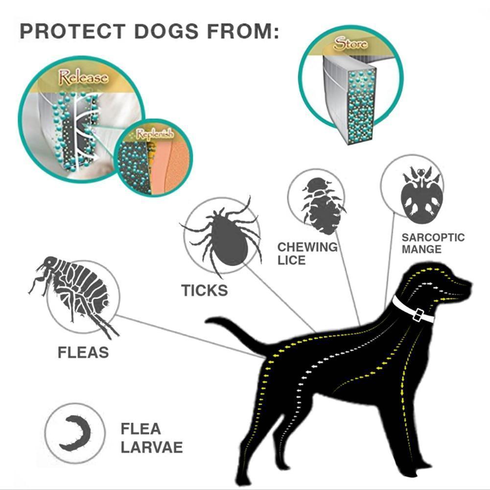 Tick and Flea Eliminating Dog Collar