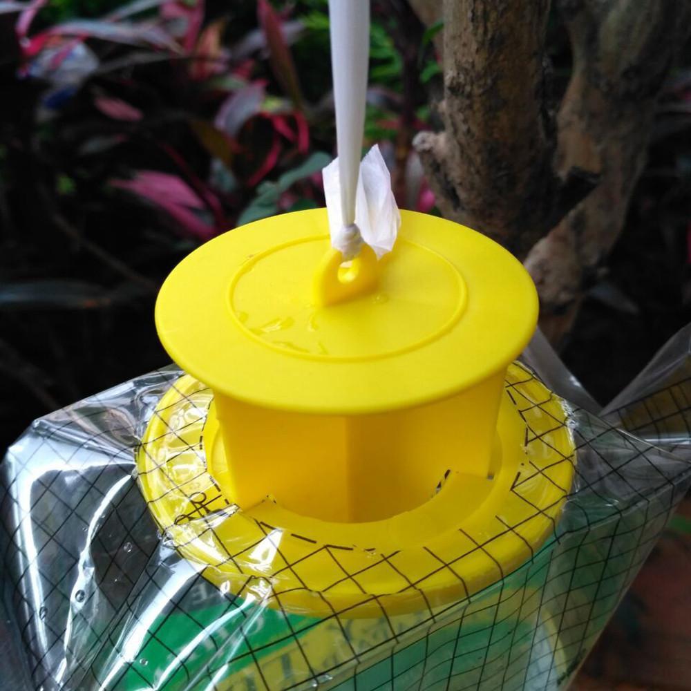 Disposable Fly Trap