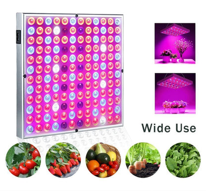 Plant Growth Full Spectrum LED Indoor Plant Lights
