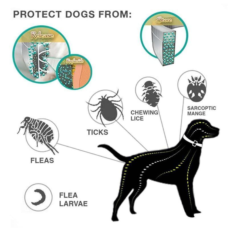 Tick Collar For Dogs