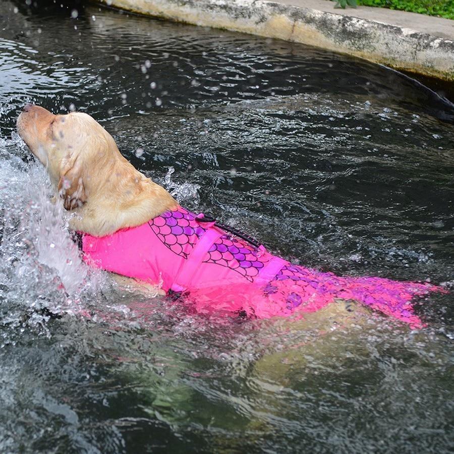 Dog's Shark Life Vest