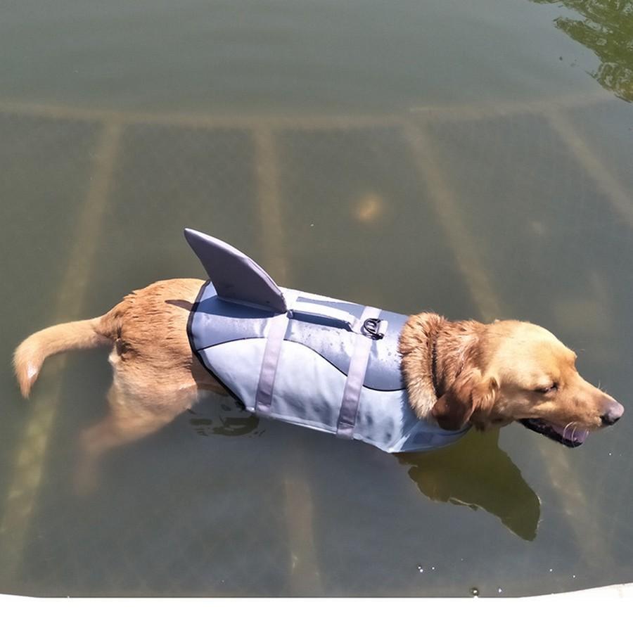 Dog's Shark Life Vest