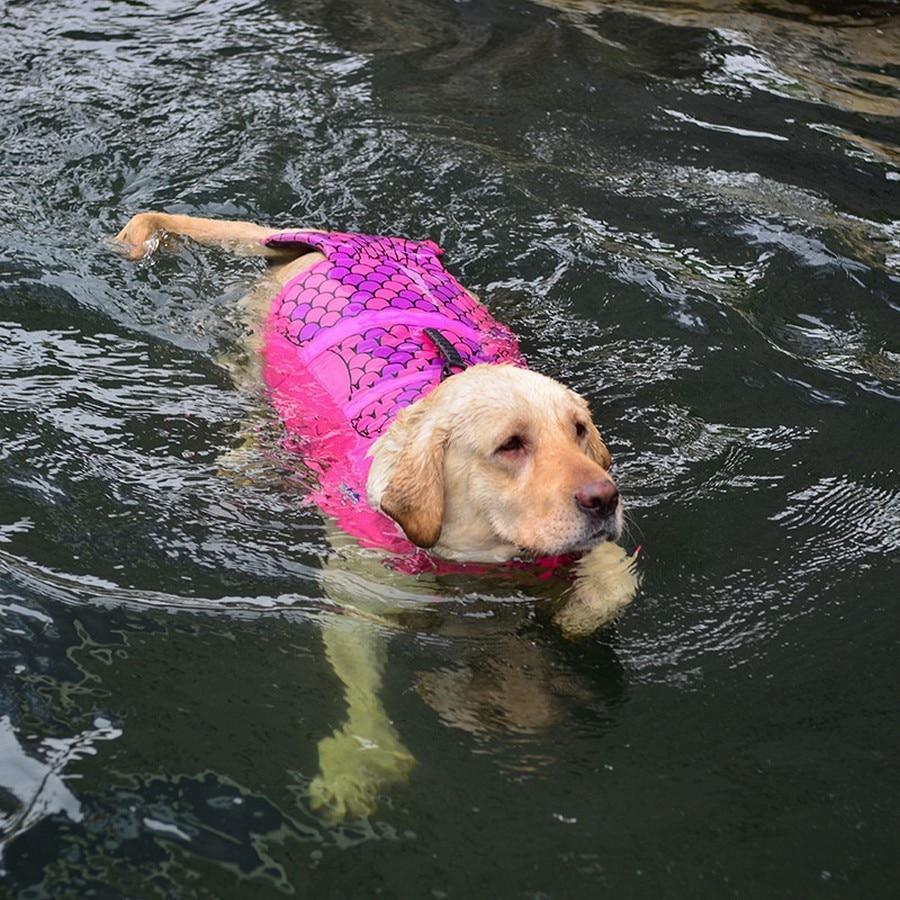 Dog's Shark Life Vest