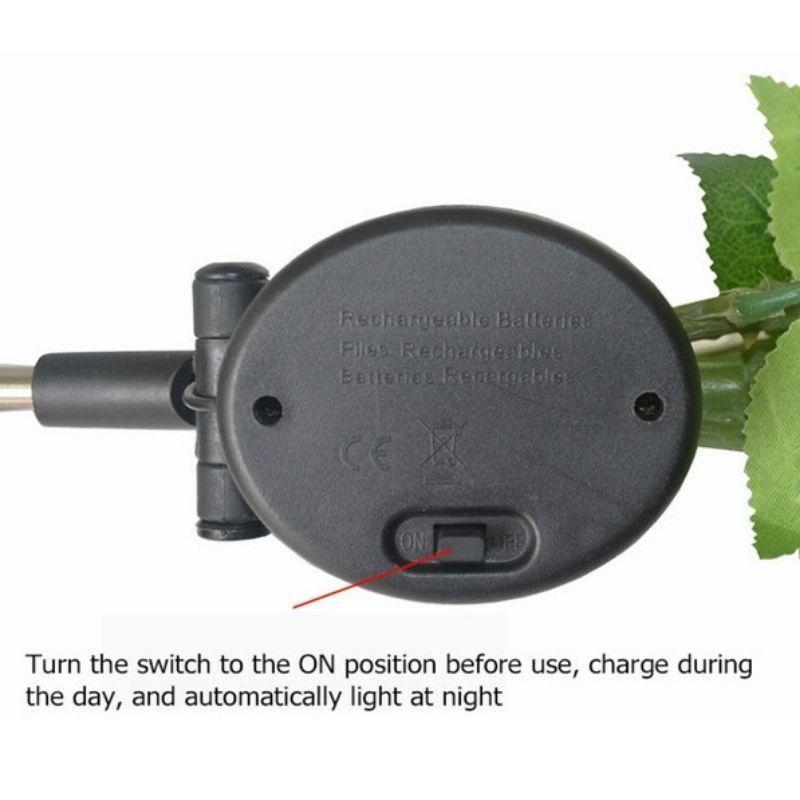 Solar LED Roses