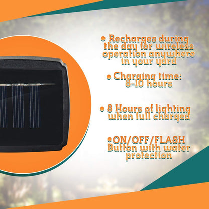 Paw Print Garden Lights