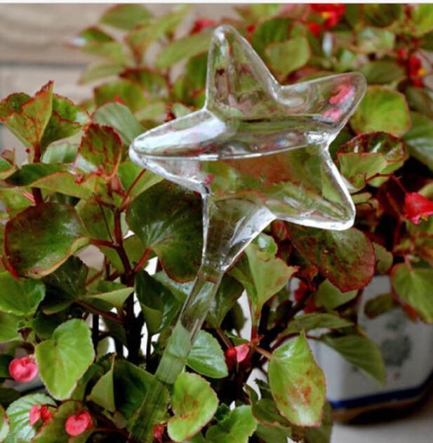 Self-Watering Plant Bulb