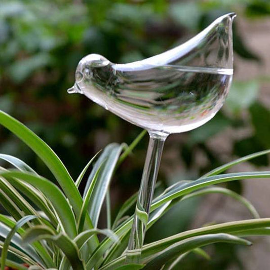 Self-Watering Plant Bulb
