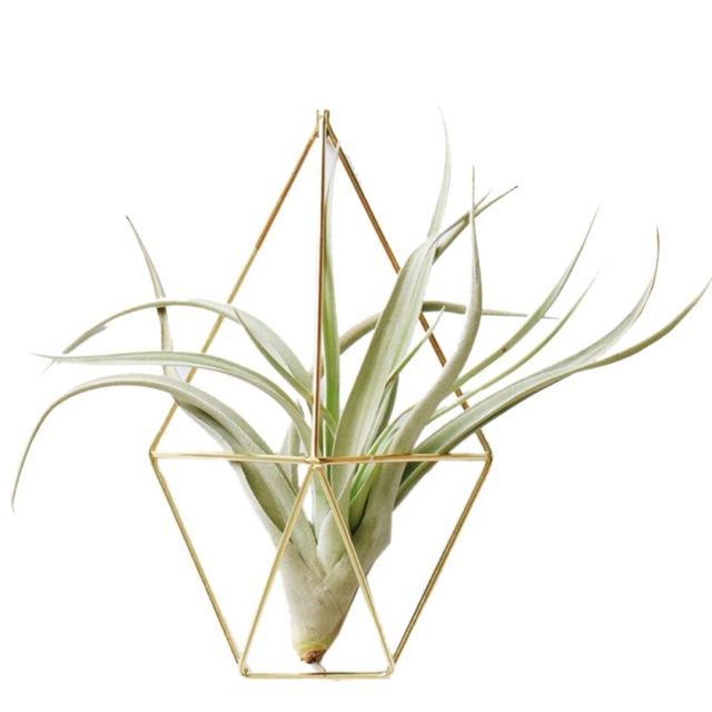 Gold Geometric Air Plant Holder