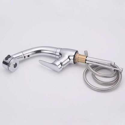 360 Pull-out Shower Faucet